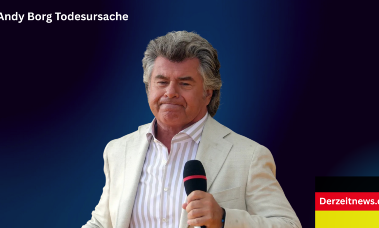 Andy Borg Todesursache